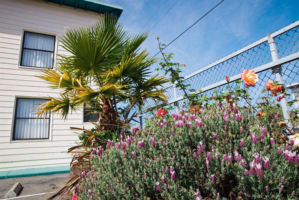 Mylo Hotel Daly City Exteriör bild